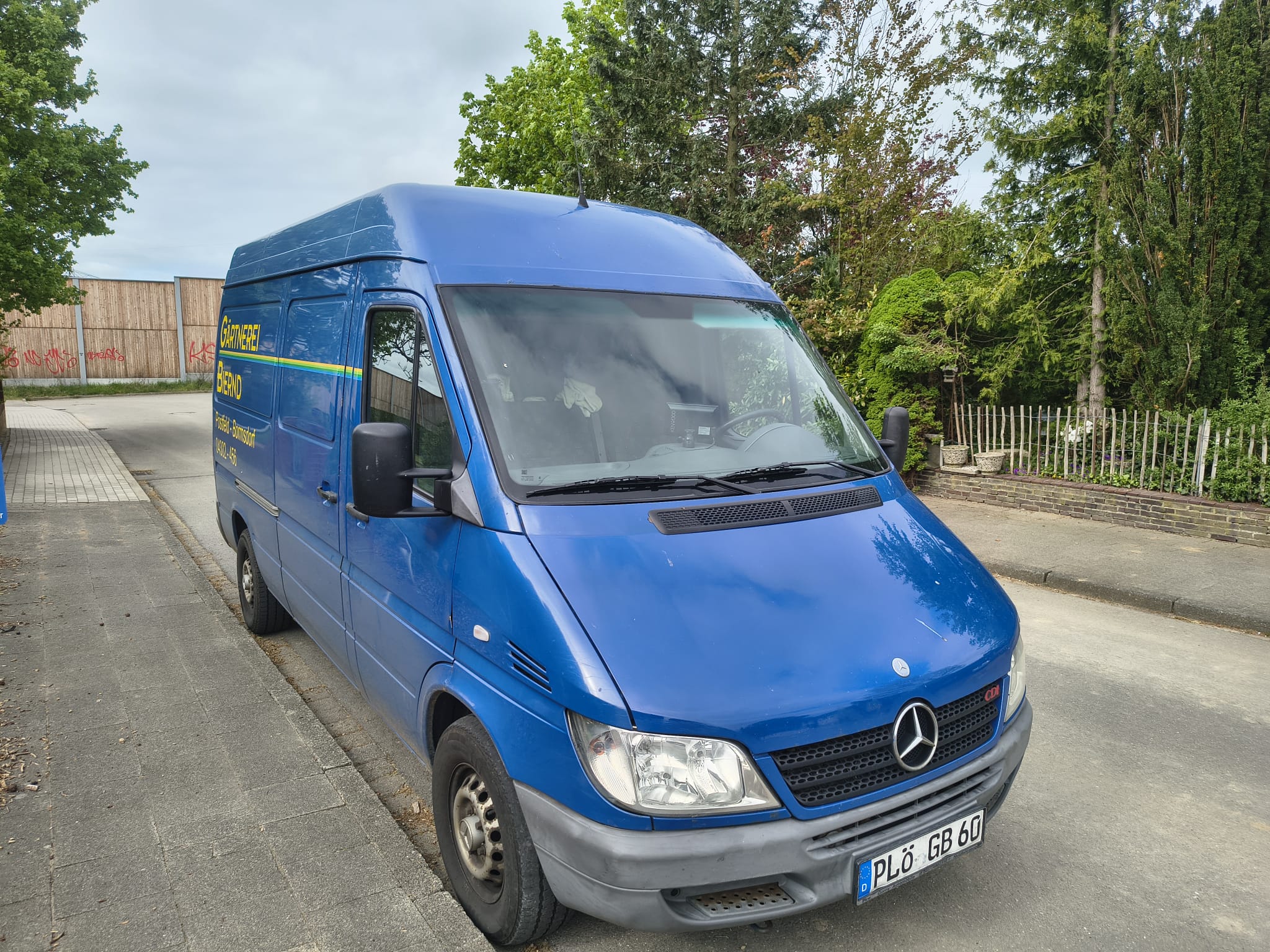Mercedes 213
